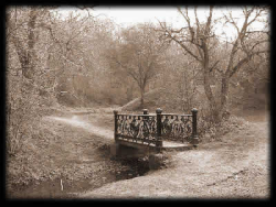 Buckie Braes Bridge